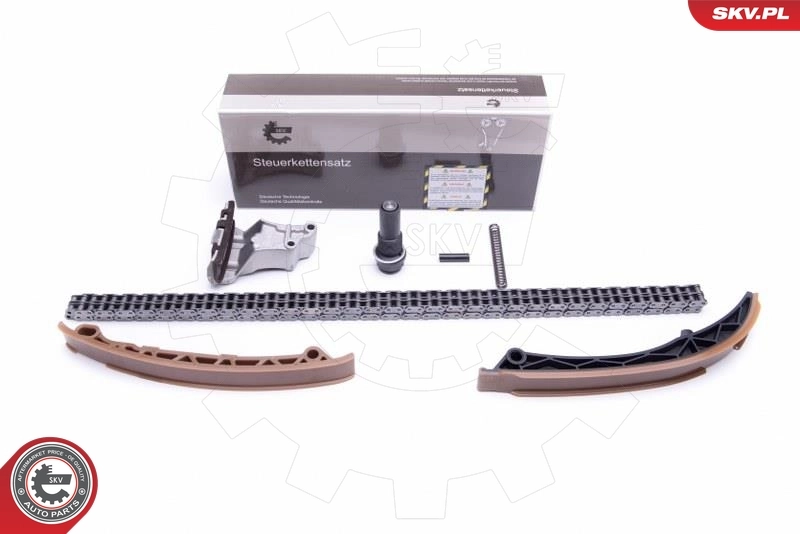Timing Chain Kit